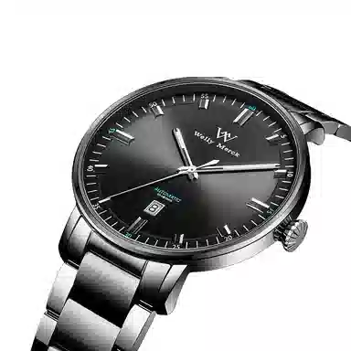 Welly Merck WM028M-1