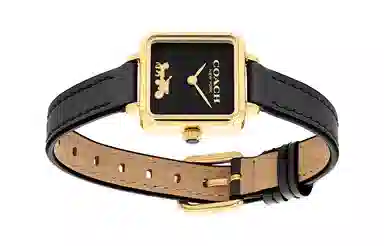 COACHCass 22mm 14504225