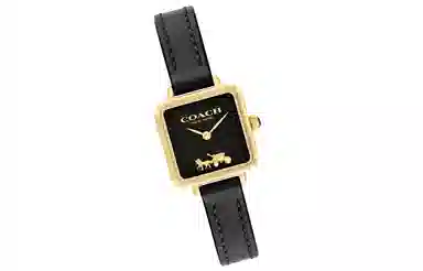 COACHCass 22mm 14504225