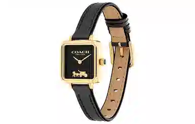 COACHCass 22mm 14504225