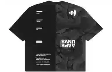 Aape T