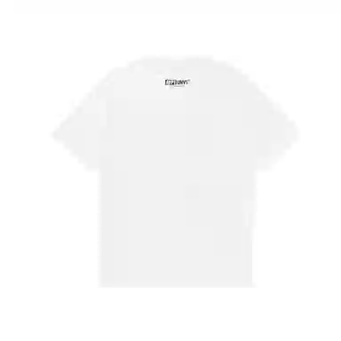 Aape T