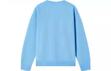 Champion FW23 Legacy C-Logo