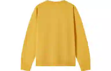 Champion FW23 Legacy C-Logo