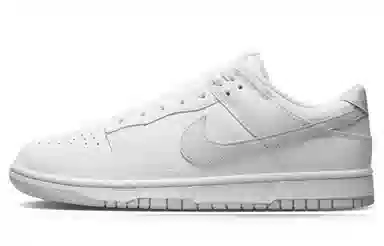 Nike Dunk Low 811