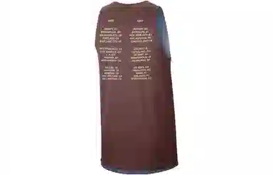 Nike Team 31 Reversible Vest Brown