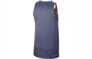 Nike Team 31 Reversible Vest Brown