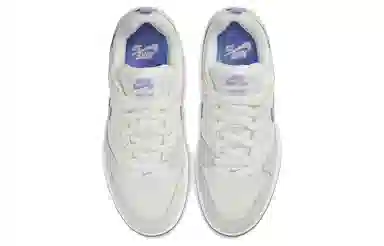 Nike SB Alleyoop Purple Grey