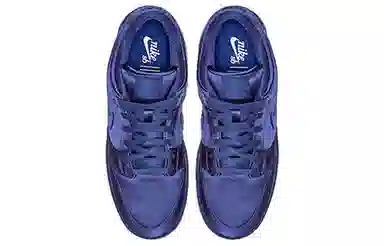 NBA x Nike Dunk SB