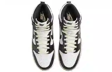 Nike Dunk "Vintage Black"