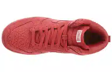 Nike Dunk Premium "Ultimate Glory"