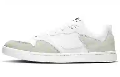 Nike SB Alleyoop Grey White