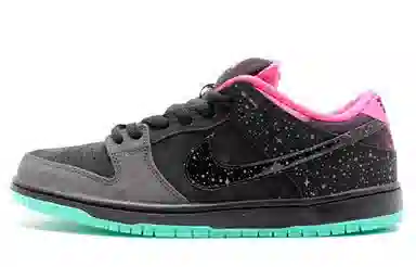 Nike Dunk SB Premier "Northern Lights"