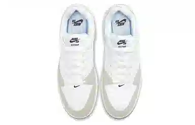 Nike SB Alleyoop Grey White