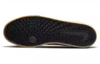 Nike SB Chron 2 CNVS