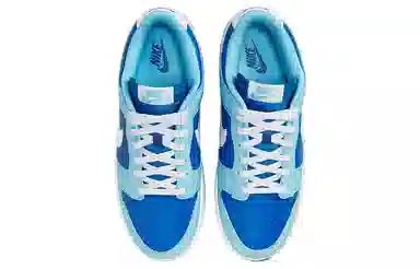 Nike Dunk Low Retro QS "Argon"