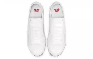 Nike Blazer Low SB White