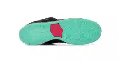 Nike Dunk SB Premier "Northern Lights"