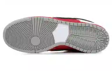 Nike Dunk SB "Roller Derby"