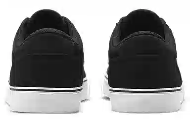 Nike SB Chron 2 CNVS