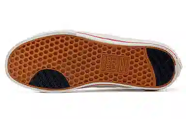 oddCIRKUS x Vision Street Wear Astley Pro