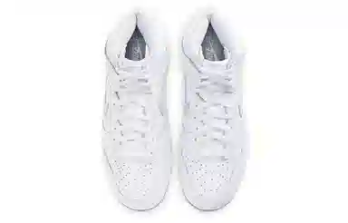 Nike Dunk SP "Pure Platinum"