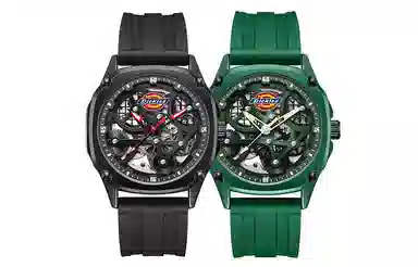 Dickies 30 220M60LYXCL-469