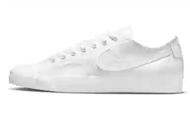 Nike Blazer Low SB White