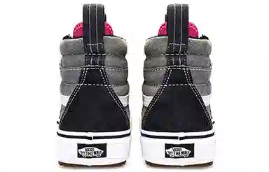 Vans SK8 Mte 2.0 DX