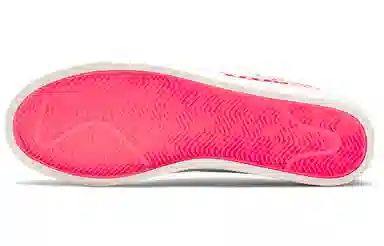 Nike Blazer Low Pink Blue