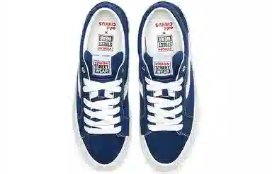 oddCIRKUS x Vision Street Wear Astley Pro