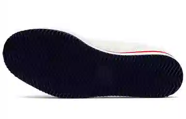 Onitsuka Tiger Delegation Chunk W