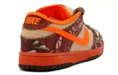 Nike Dunk SB Reese Forbes