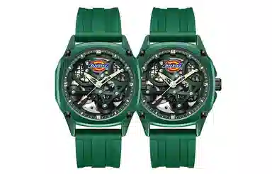 Dickies 30 220M60LYXCL-469