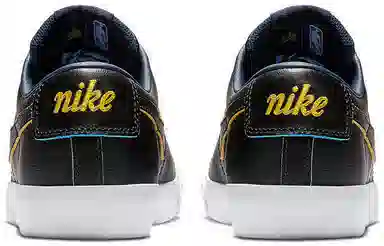 Nike SB Bruin Low Warriors