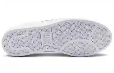 Converse Sunblocked Pro Leather