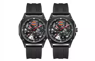 Dickies 30 220M60LYXCL-469