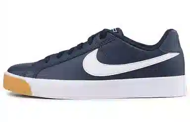 Nike Court Royale AC