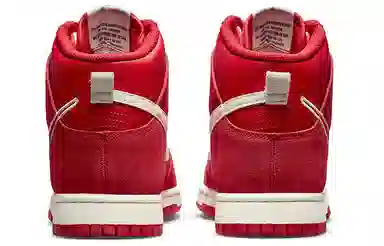 Nike Dunk "First Use"