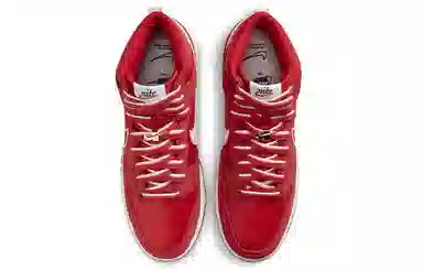 Nike Dunk "First Use"