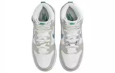 Nike Dunk "FLS"