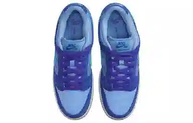 Nike Dunk SB Pro "Blue Raspberry"