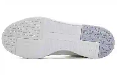 Anta