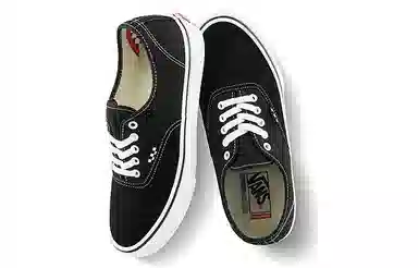 Vans Authentic Skate Classics Black