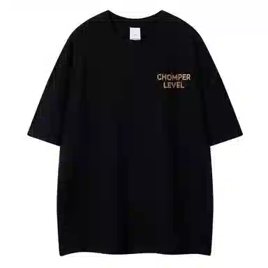 LEVEL T