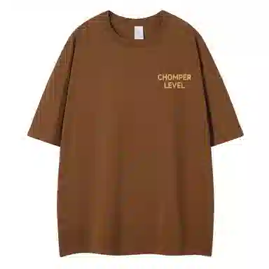 LEVEL T