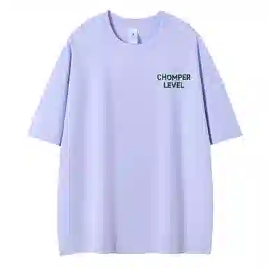 LEVEL T