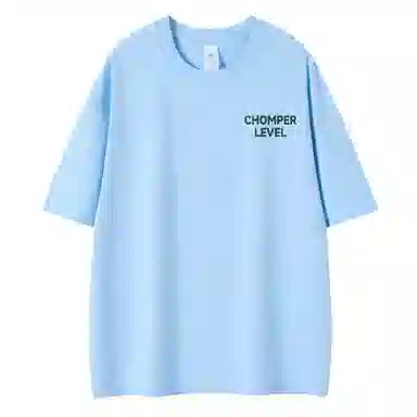LEVEL T