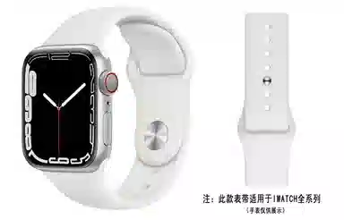 ZS AppleWatch AP4001