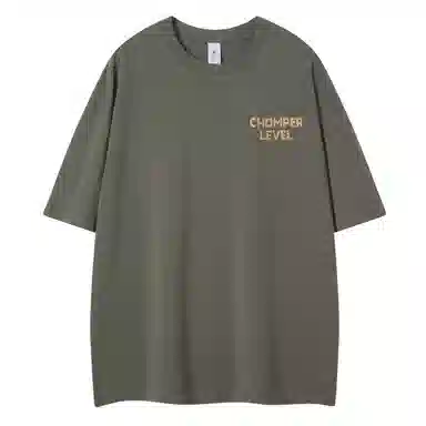LEVEL T